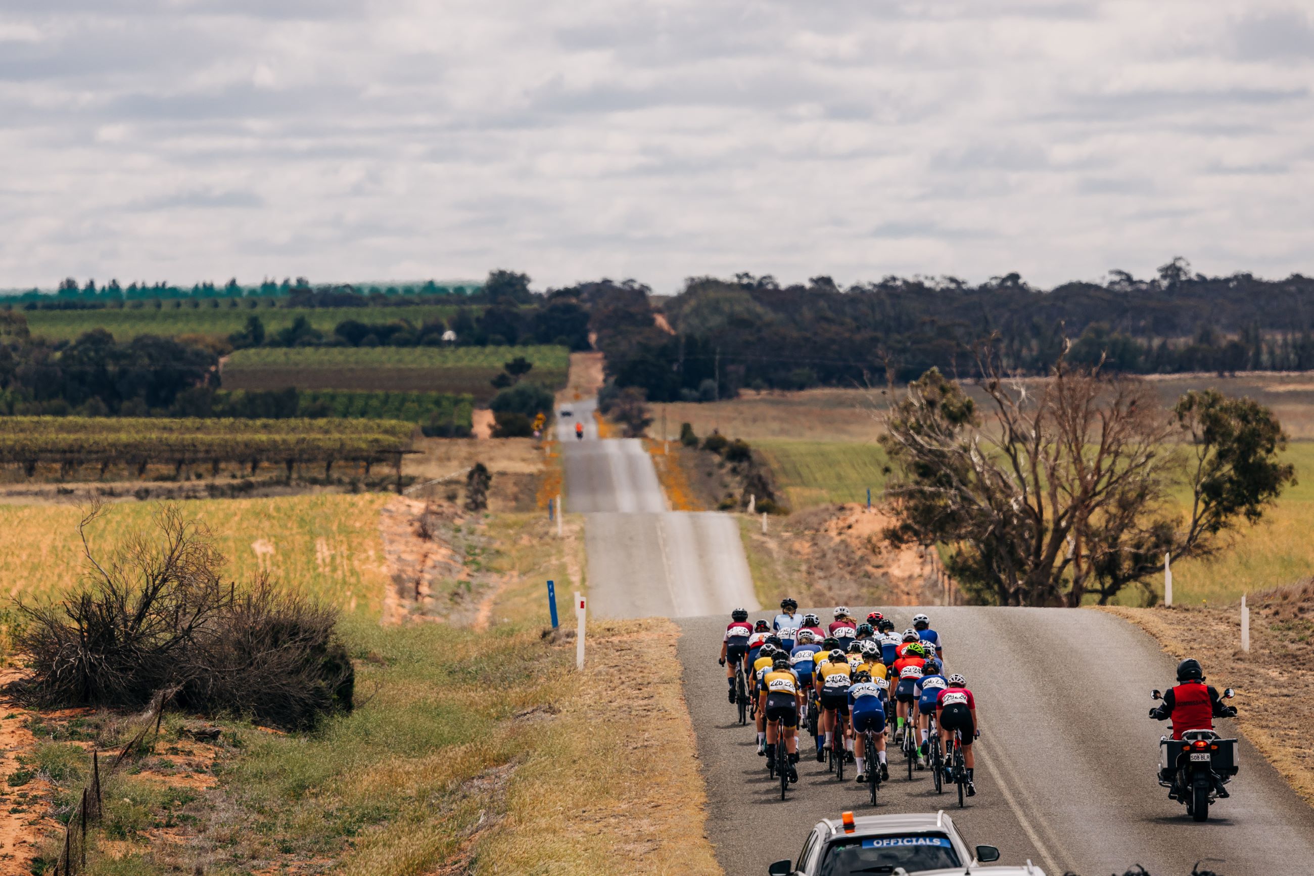 A peloton of junior cyclists approaches a series of rolling hills on exposed roads at the 2024 AusCycling Masters & Junior Road National Championships in Loxton